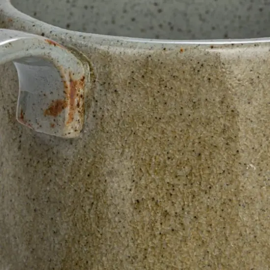 Hello Honey&reg; Insect & Bird Design Stoneware Mug Set {4}