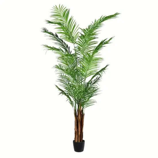 8ft. Potted Giant Areca Palm Tree {1}