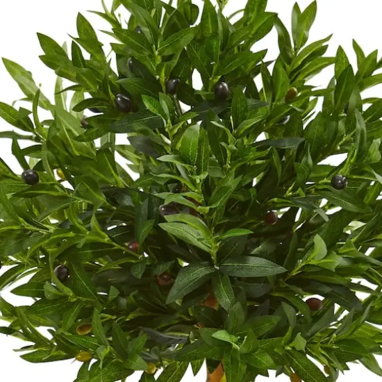 3.5ft. Olive Topiary Tree in Sand Stone Planter {3}