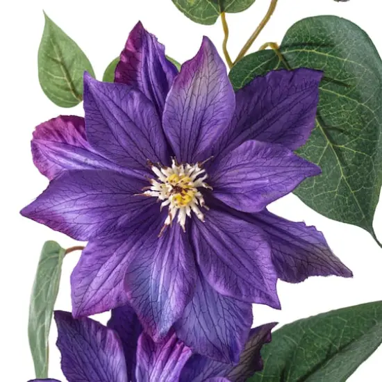 Purple Tropical Clematis Stem by Ashland&reg; {4}