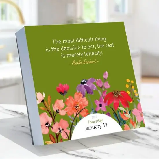 TF Publishing 2024 Seize the Day Daily Desktop Calendar {3}