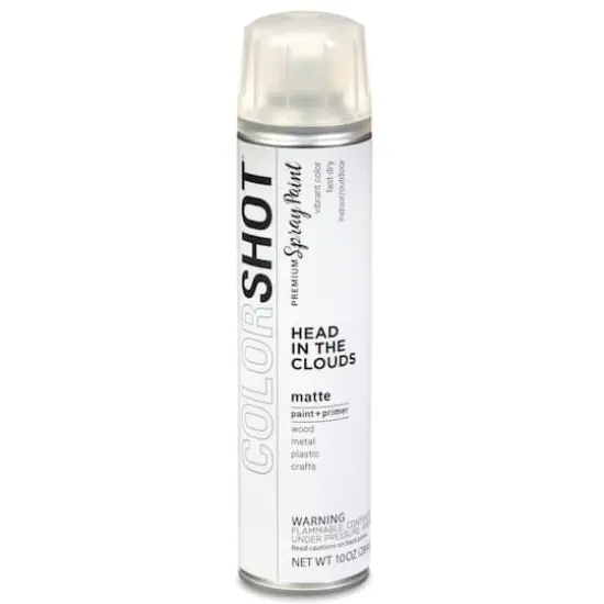 COLORSHOT&reg; Head In the Clouds Matte Spray Paint {8}