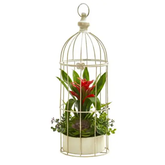 19" Bromeliad & Succulent Artificial Arrangement in Bird Cage Red {1}