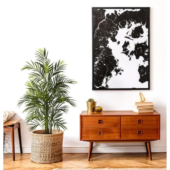 3.5ft. Potted Areca Palm {5}