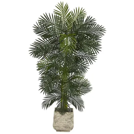 6.5ft. Golden Cane Palm Tree in White Planter {1}