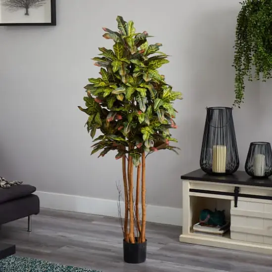 5ft. Potted Croton Tree {3}