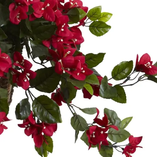 2.5ft. Bougainvillea Hanging Basket {4}