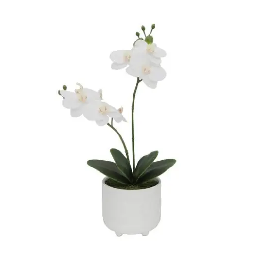 Flora Bunda&reg; 16" Real-Touch Orchid Barcode In Ceramic Footed Pot {1}