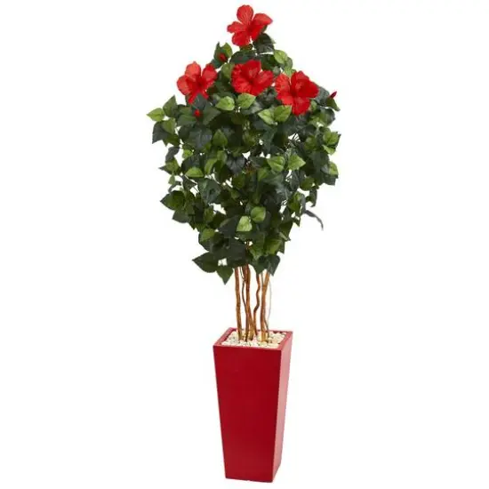 5.5ft. Hibiscus Tree in Red Tower Planter {1}