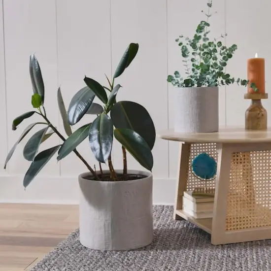 Hello Honey® Stoneware Planters with Embossed Cross Hatch Texture Set Gray {5}