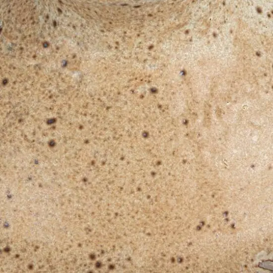 Hello Honey&reg; 5.5" Round Stoneware Candle Holder with Handle Set {7}