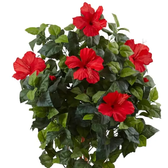 5ft. Red Hibiscus Tree in Decorative Wooden Planter {3}