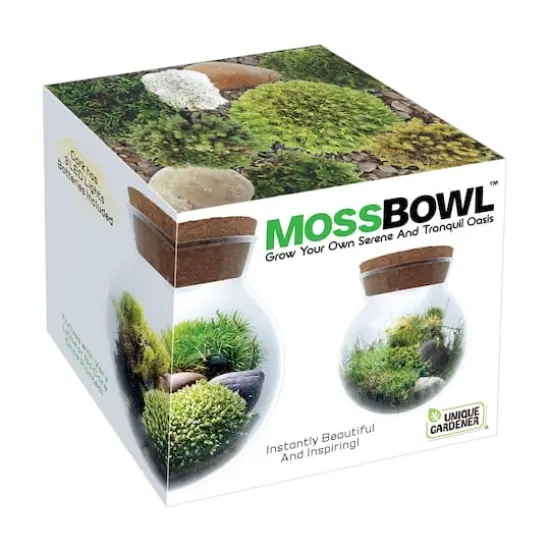 MossBowl - Grown Your Own Serene and Tranquil Oasis {1}