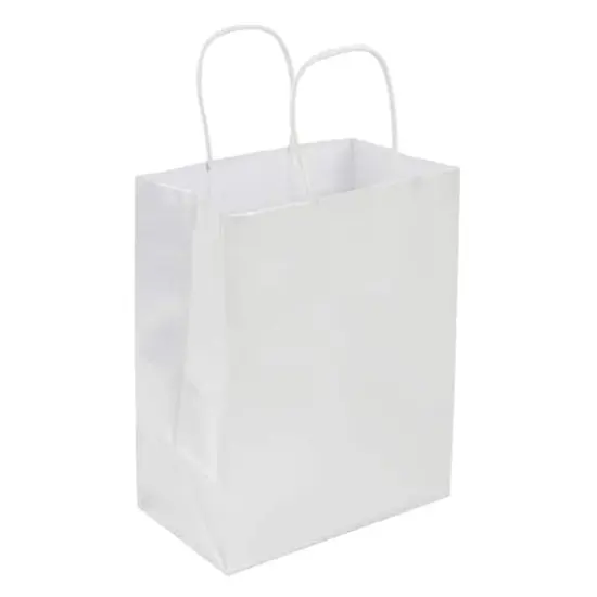 Medium Silver Gift Bag Value Pack by Celebrate It&trade; {1}