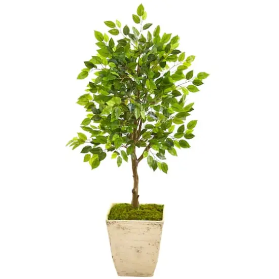 3.3ft. Ficus Artificial Tree in Country White Planter {1}
