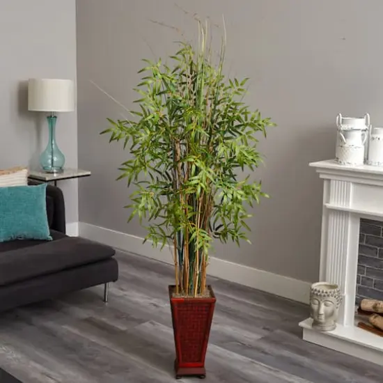 5.5ft. Grass Bamboo Plant in Decorative Planter {3}