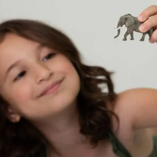 Safari Ltd&reg; TOOB&reg; South African Animals {4}