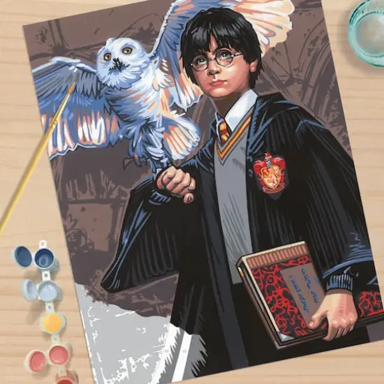 PaintWorks&trade; Harry & Hedwig Paint by Number Kit {3}