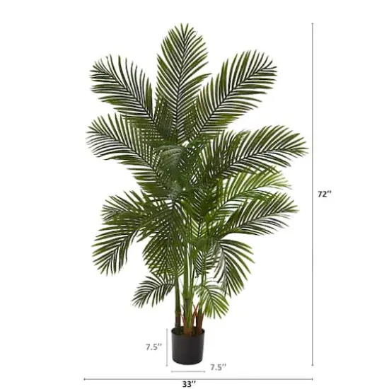 6ft. Potted Areca Palm Tree {4}