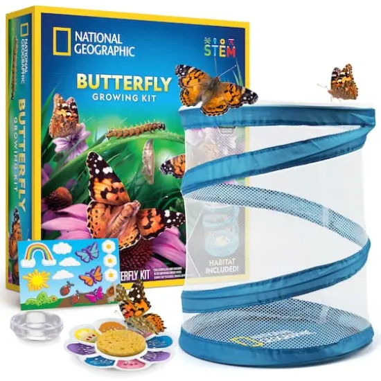 National Geographic&trade; Butterfly Growing Kit {3}