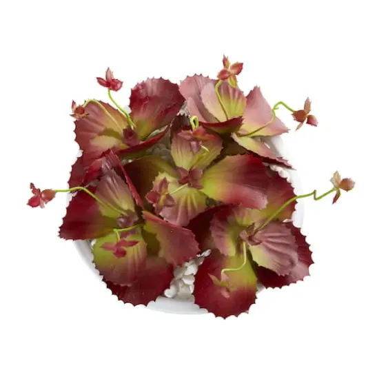 8" Burgundy Succulent Artificial Plant in White Bowl {4}