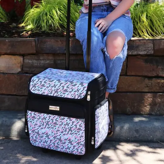 Everything Mary Pill Pattern Rolling Craft Bag {8}