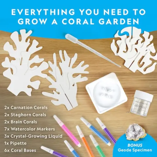 National Geographic&trade; Crystal Reef Science Kit {4}