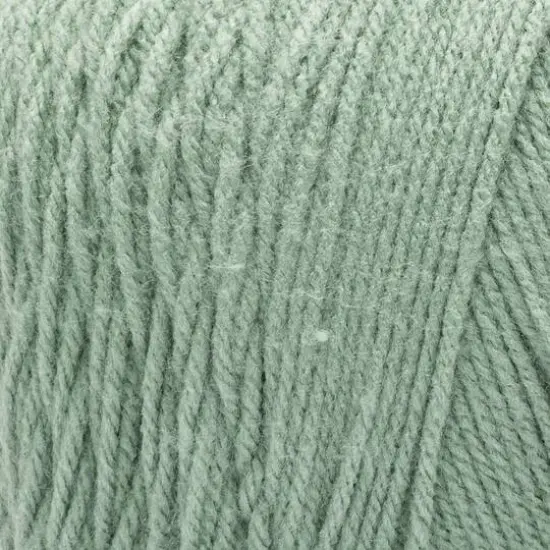 Caron&reg; One Pound&trade; Yarn Succulent {3}