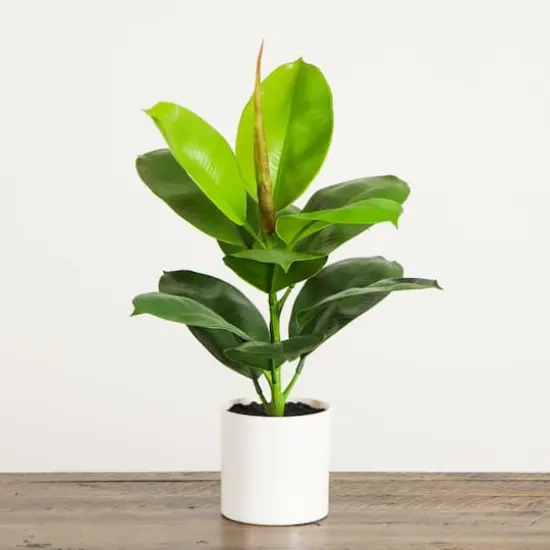 20in. Artificial Fiddle Leaf Fig Plant {7}