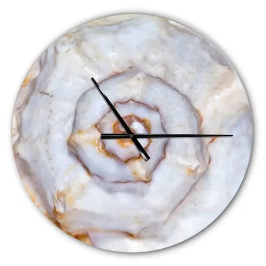 Designart Great Skeleton Of Sea Shell Modern Wall Clock {1}