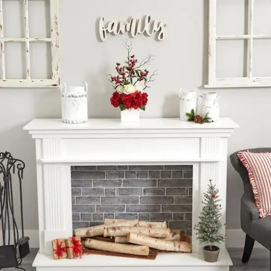 24" Potted Hydrangea, Rose & Berry Arrangement {5}