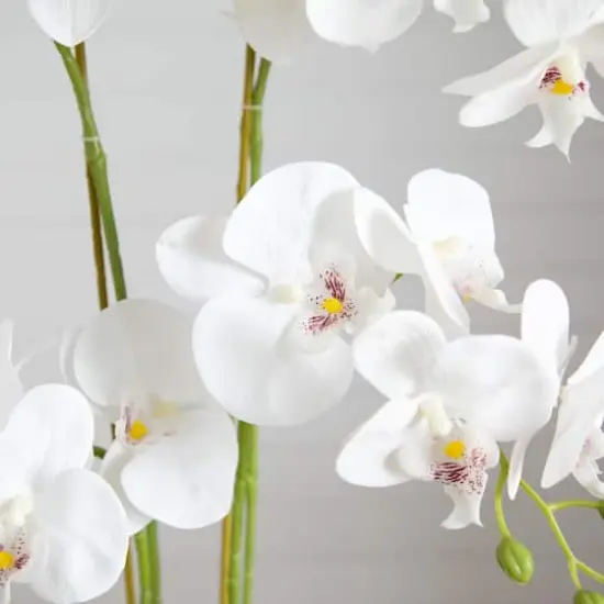 2ft. Orchid Arrangement in Decorative Ceramic Vase {5}