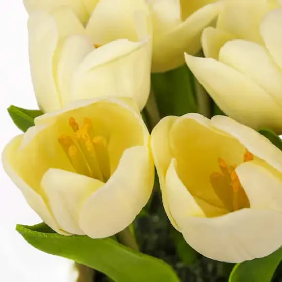 10" Tulip Bouquet in White Basket Light Yellow {6}