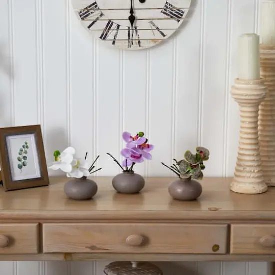 7" Assorted Moth Orchid Arrangement, 3ct. {5}