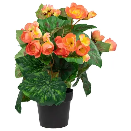 11" Coral Pink Potted Silk Begonia Floral Arrangement {1}