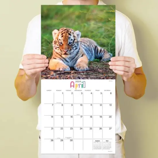 TF Publishing 2024 Baby Animals Wall Calendar {6}