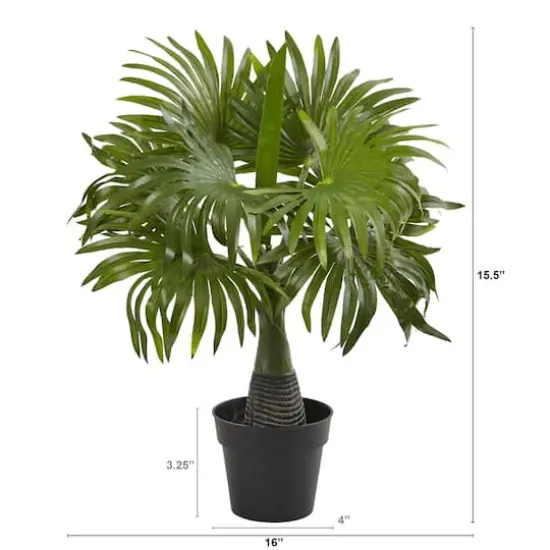 15.5" Potted Mini Fountain Palm Plant {3}