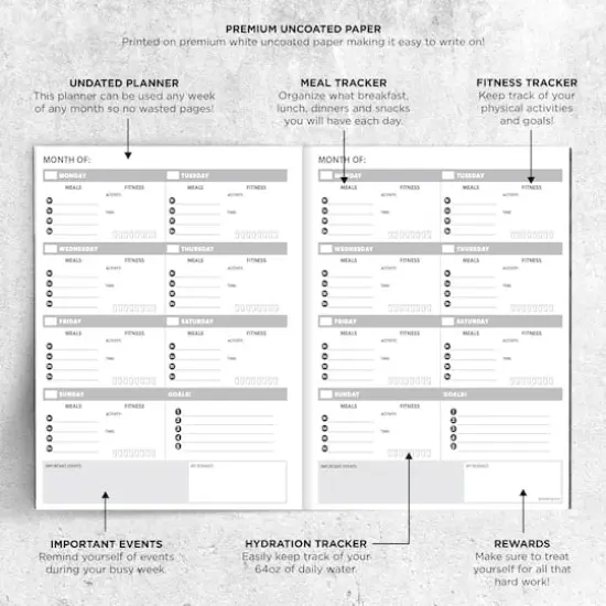 TF Publishing Large Undated Wellness Planner {5}