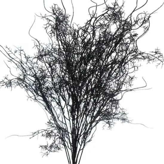 24" Black Moss Bush by Ashland&reg; {3}