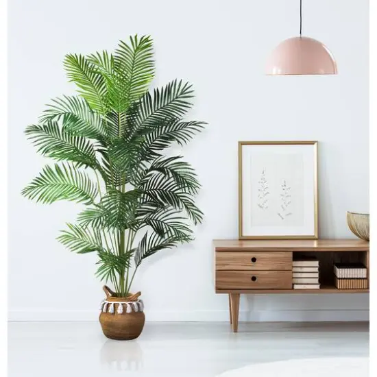 7ft. Potted Paradise Palm {9}