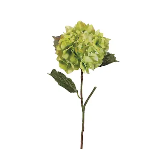 Two-Tone Green Hydrangea Spray {1}