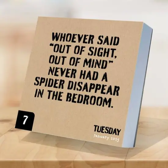 TF Publishing 2025 Anti Affirmations Daily Desktop Calendar {5}