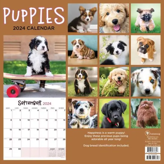 TF Publishing 2024 Puppies Wall Calendar {3}
