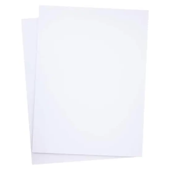 18" x 24" Foam Boards, 2ct. {1}