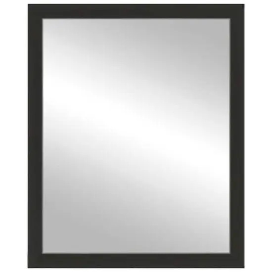 Timeless Frames&reg; Port Espresso & Silver 24" x 30" Framed Mirror {1}