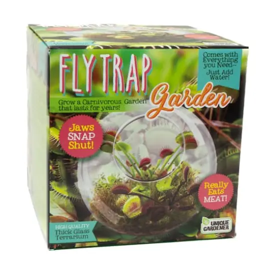 Glass Terrarium - Fly Trap Garden {3}