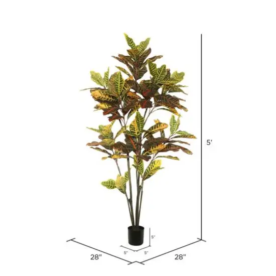 5ft. Potted Green & Orange Croton Tree {5}