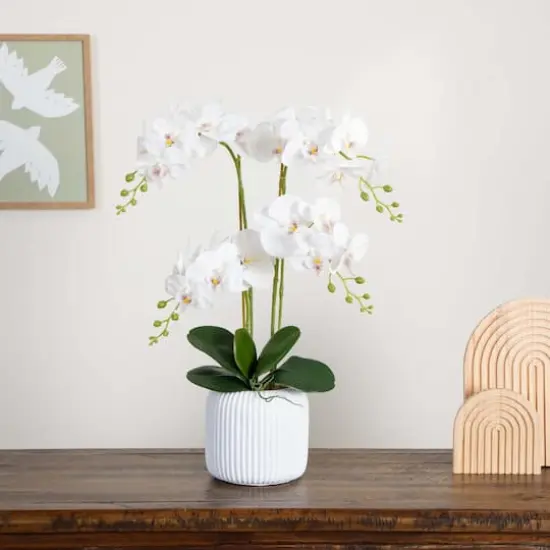 2ft. Orchid Arrangement in Decorative Ceramic Vase {3}