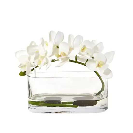 7" Moth Orchid Arrangement in Glass Vase White {1}