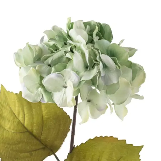 Seafoam Green Hydrangea Stem by Ashland&reg; {4}